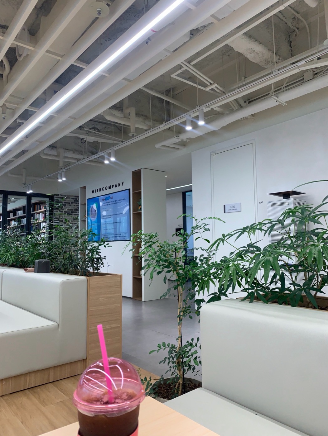 Wishcompany office lounge in Seoul, plants and a display screen showing brand content